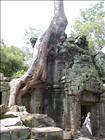 7 Angkor Wat
